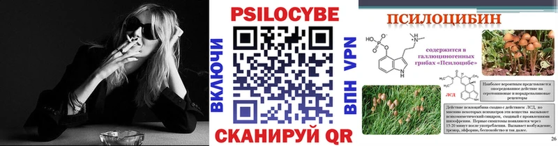 Псилоцибиновые грибы GOLDEN TEACHER Апатиты